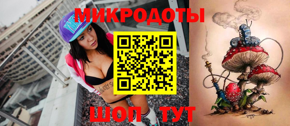 Псилоцибиновые грибы прущие грибы Зима